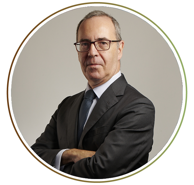Carlos Abade Luís Correia, Professor no IST e Investigador Coordenador no INESC INOV Lab, keynote speaker do Wireless Meeting 2026